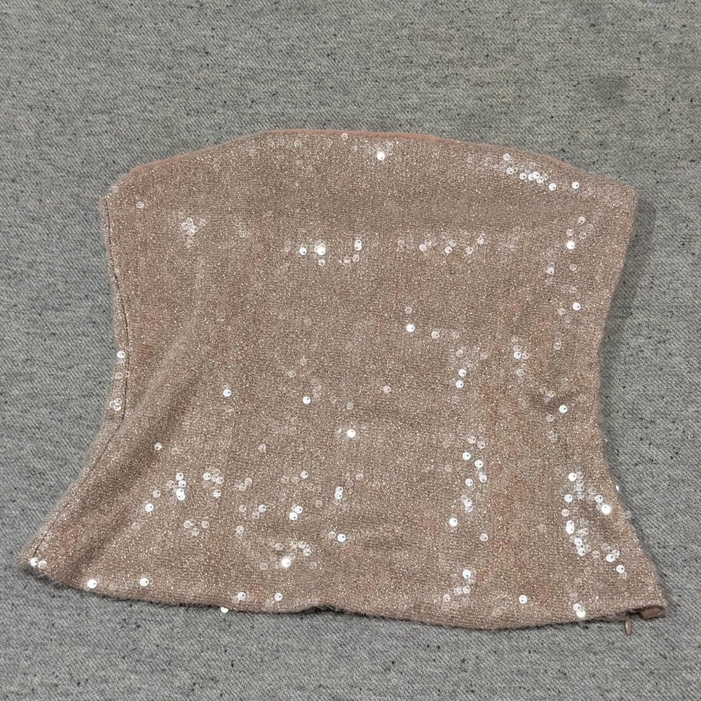 Zara Blush Sequin Tube Top